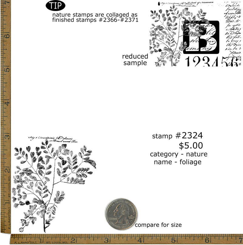 #2324 - Foliage - Nature